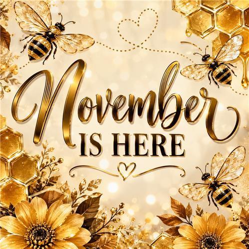November is here